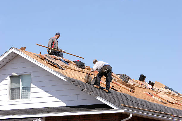 Best Steel Roofing  in Colona, IL